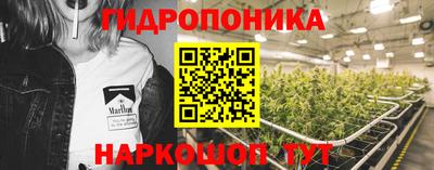 apvp Краснодар