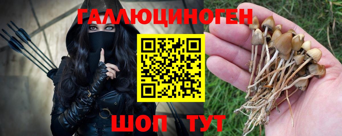 Псилоцибиновые грибы Psilocybine cubensis Ижевск